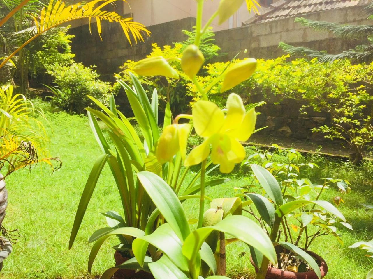 Ganesh House Homestay Kovalam Exteriér fotografie